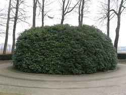 Waalwijk